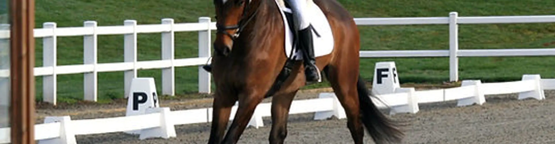 Brocks Farm Riding School and Livery