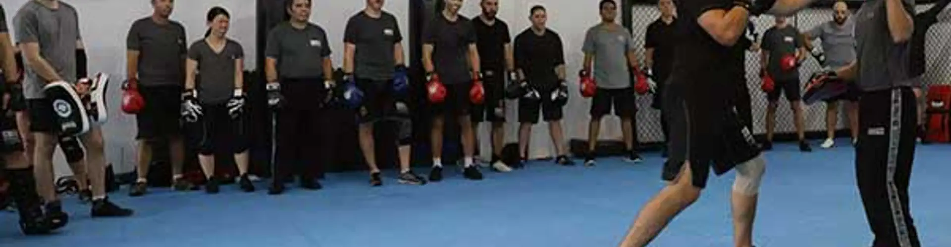 Krav Maga Combat Self Defence