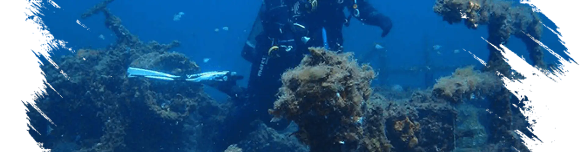 Dive Diving Bunbury Waters