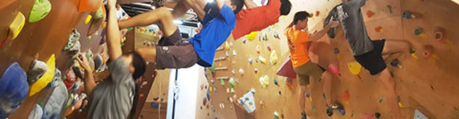 OYEYO Boulder Home