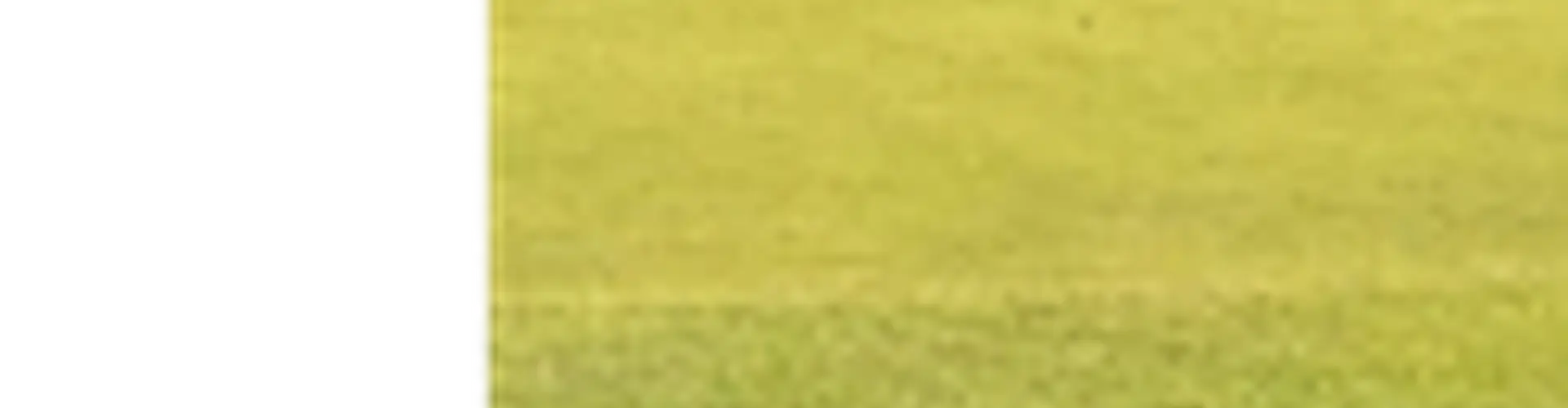 Sandy Golf Links