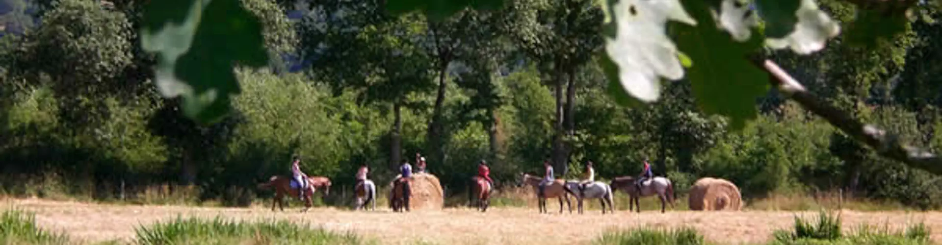 Pony Club Gué De Selle