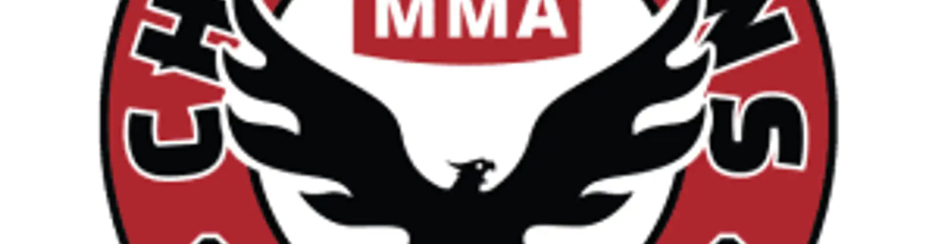 Champions Rise MMA Training Program