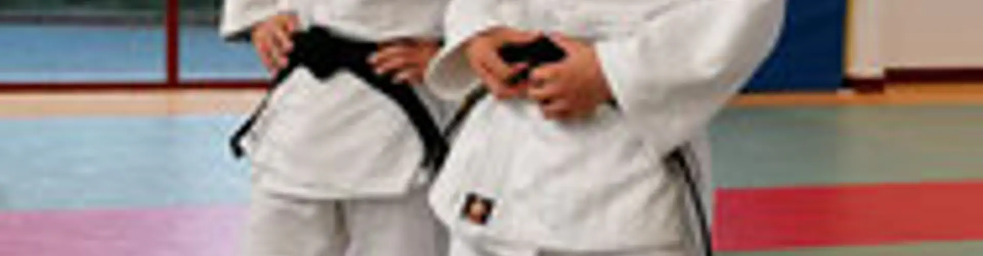 Dojo Vitréen