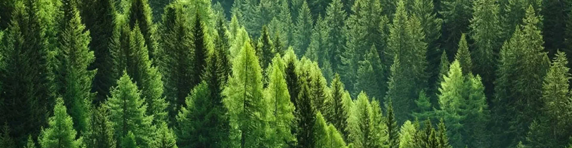 Vivre en Bois Alençon