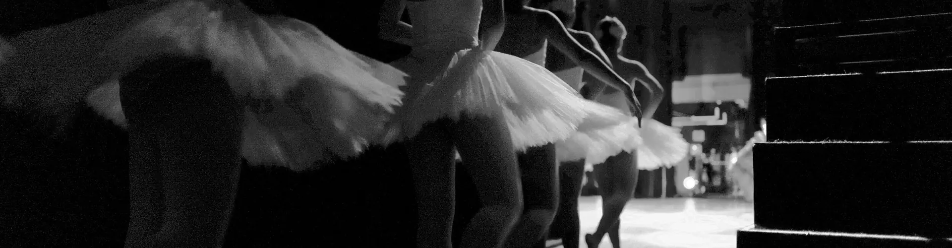 Primrose Hill Ballet Schools