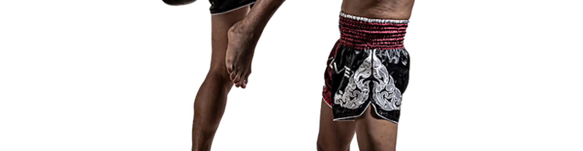 Evolve MMA (Clarke Quay Central)