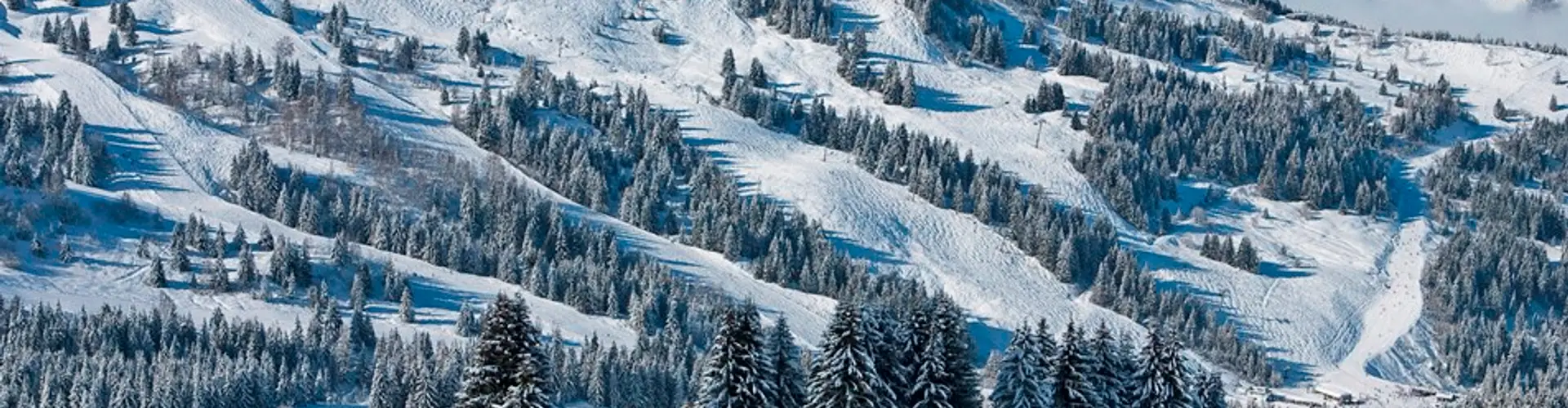 Ski School 360 Avoriaz