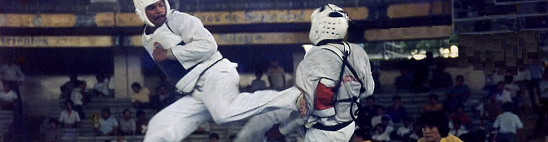 Master Dosoo Tae Kwon Do Academy