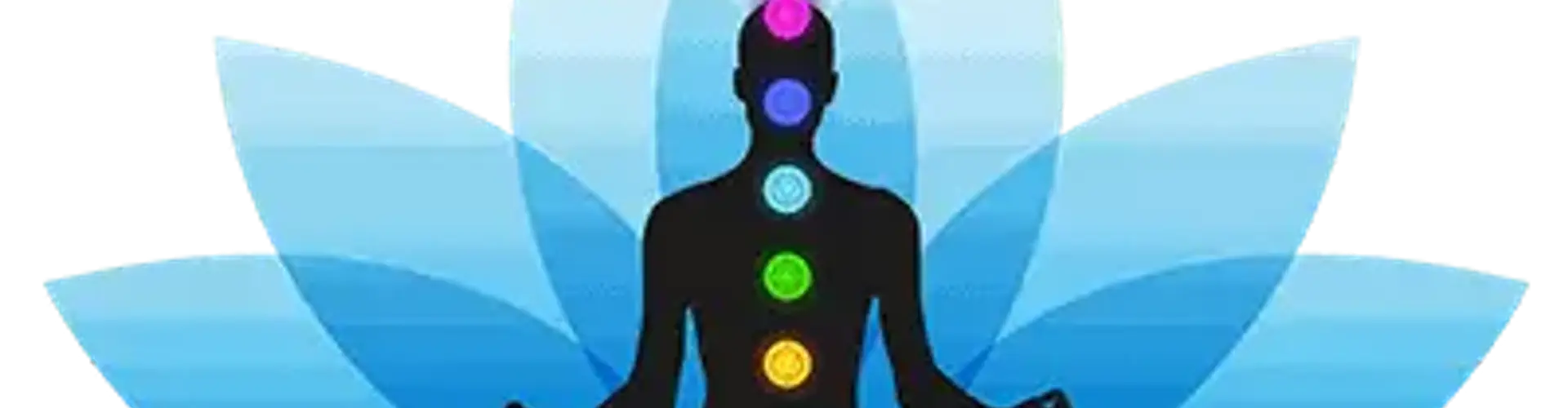 YOGA ESSENCE: Meditation Teacher Training Ashram