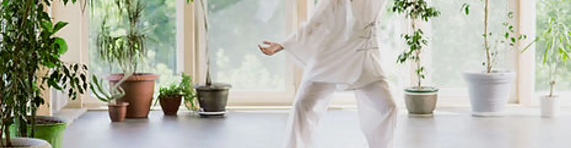 Wu Shu/Kung Fu