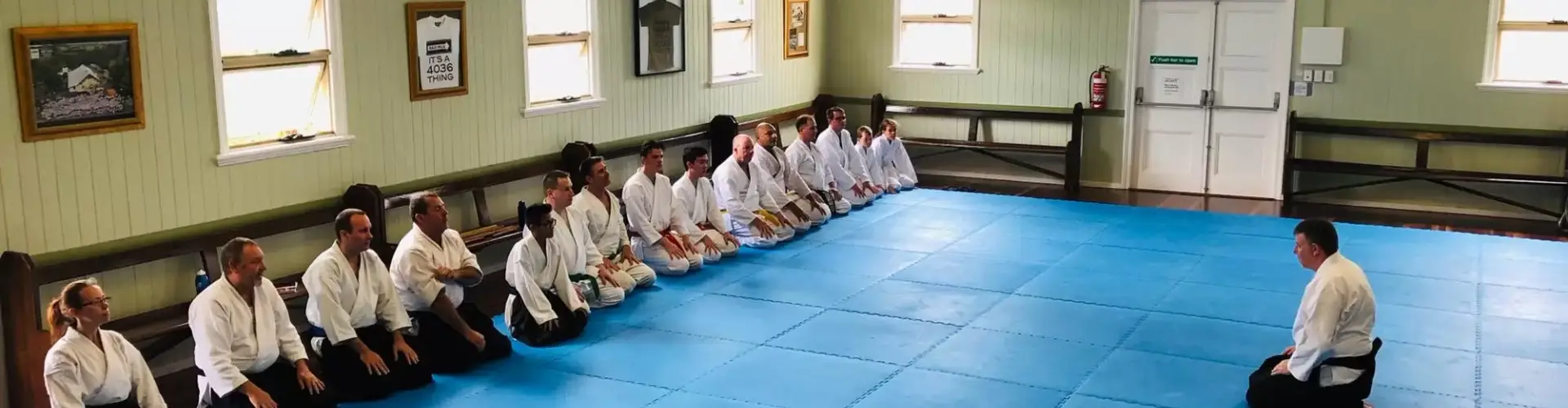 Aikido Goshinkai Bald Hills Dojo