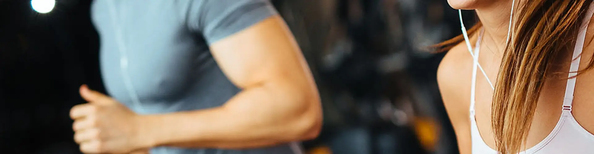 The Muscle Factory Gym