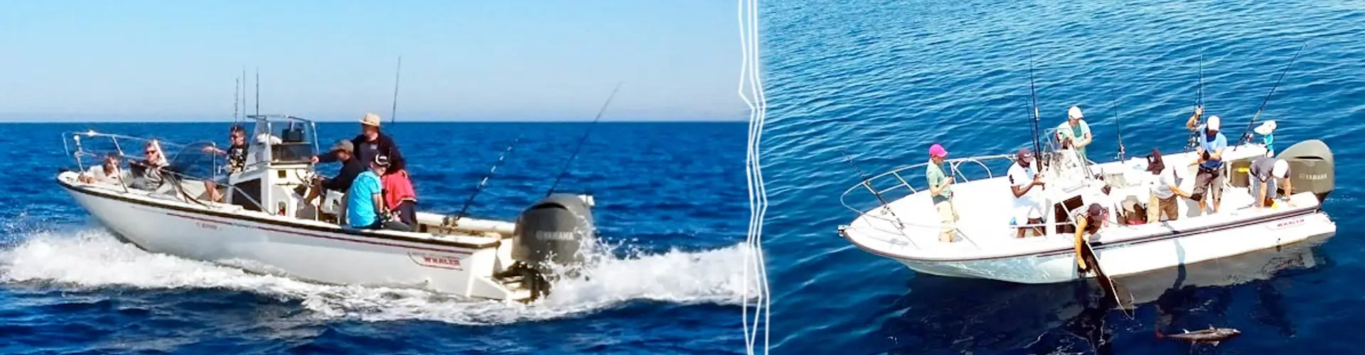Camargue Fishing