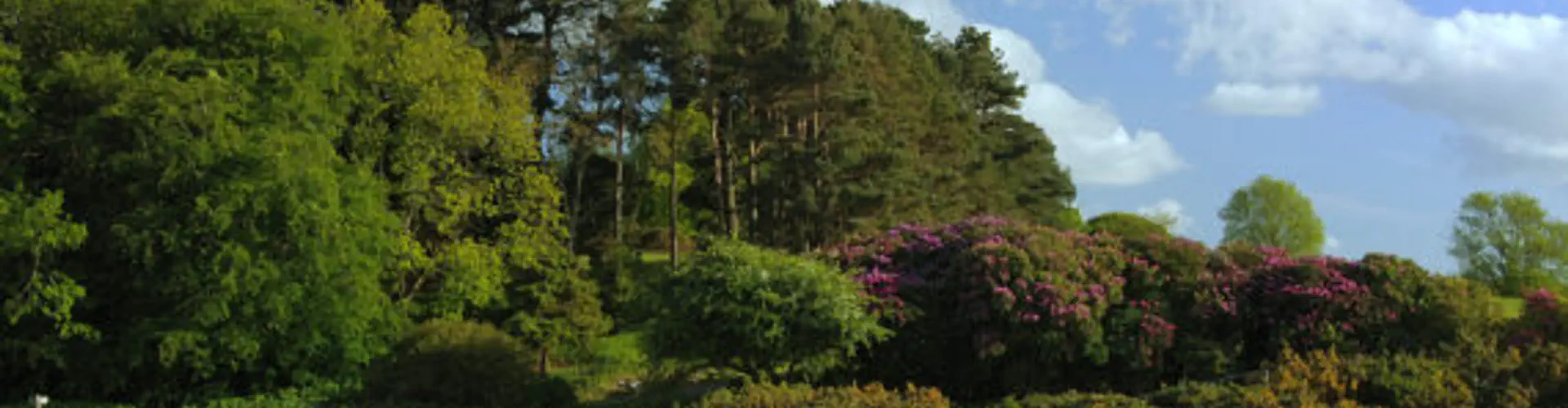 Baron Hill Golf Club