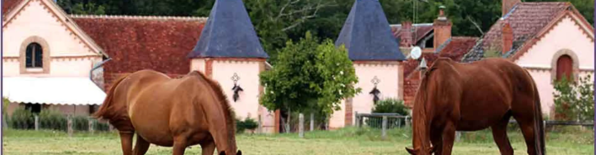 Poney club de l'Île Saint-Germain