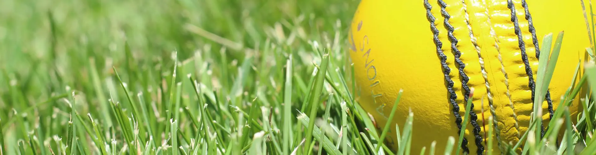 Winter cricket indoor