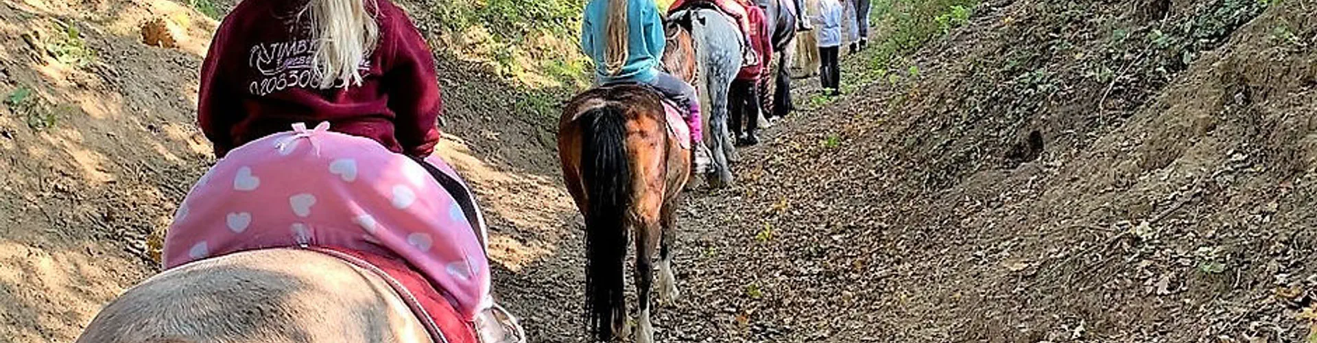 Timbertops Equestrian Centre - Riding School sidcup