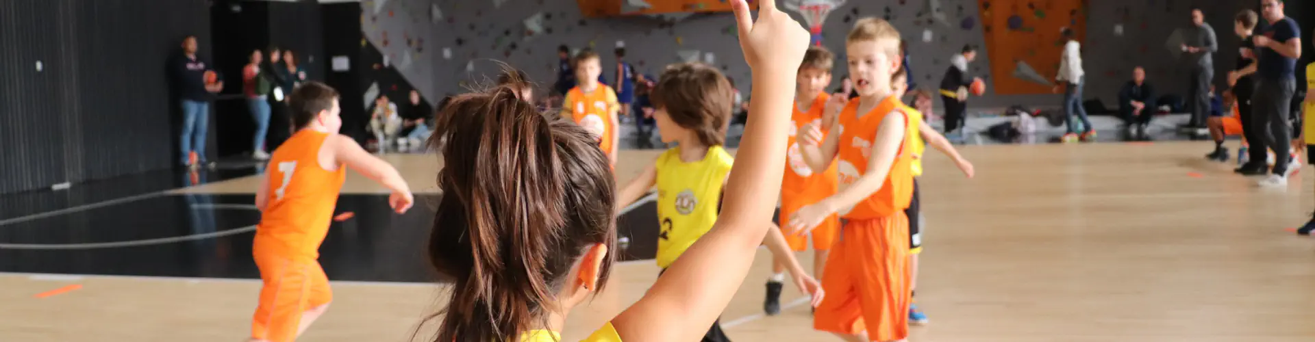 Comité Départemental du Bas-Rhin de Basket-Ball