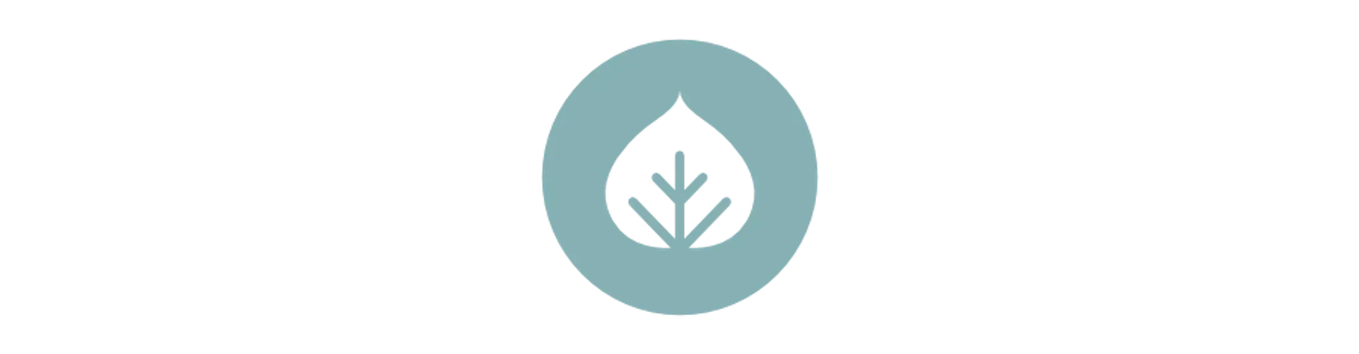 Bodhi Holistic