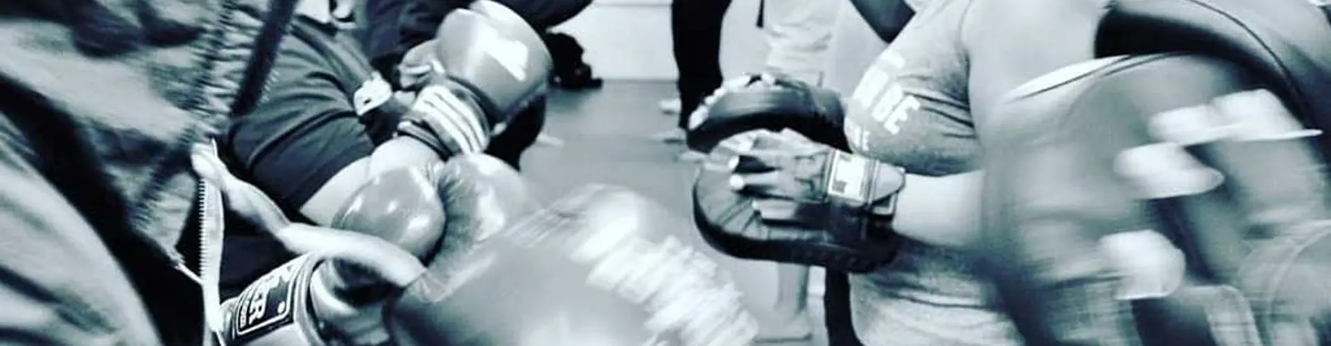 Clinch BJJ & MMA