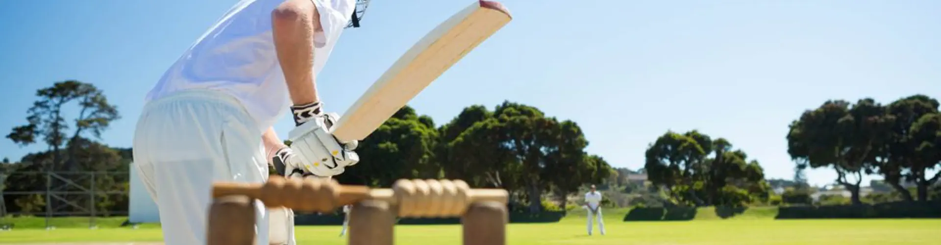 Cricket for All