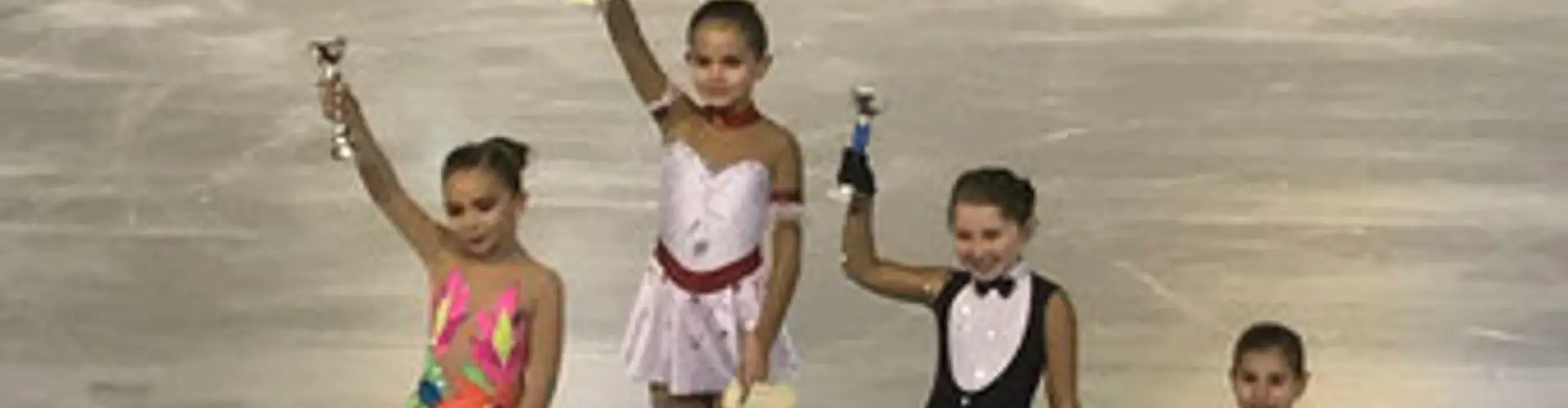 Ecole de Glace Des 3 Seine