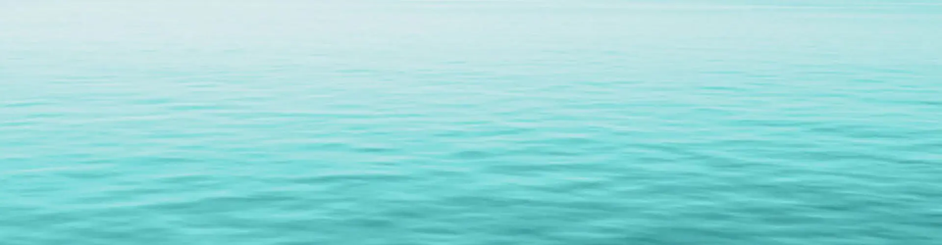 Biologic Flow piscines