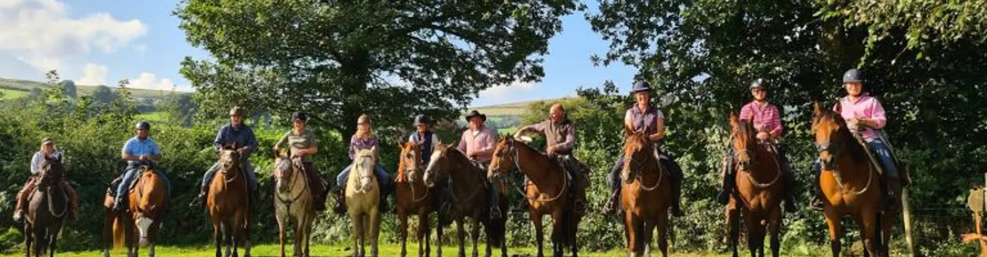 The Dartmoor Crossing