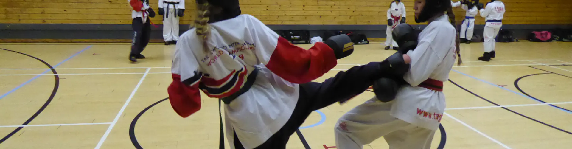 The Mark Farnham Schools of Tae Kwon-Do