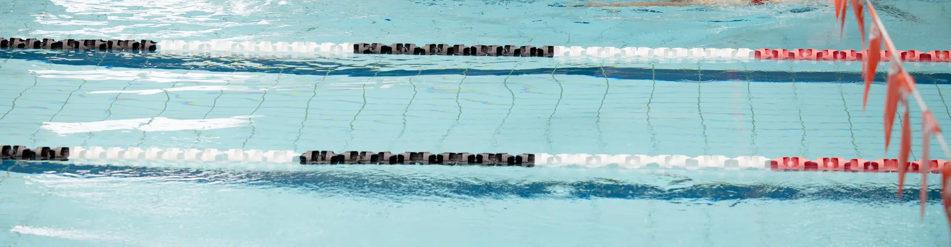 Children’s Swimming Lessons Forster