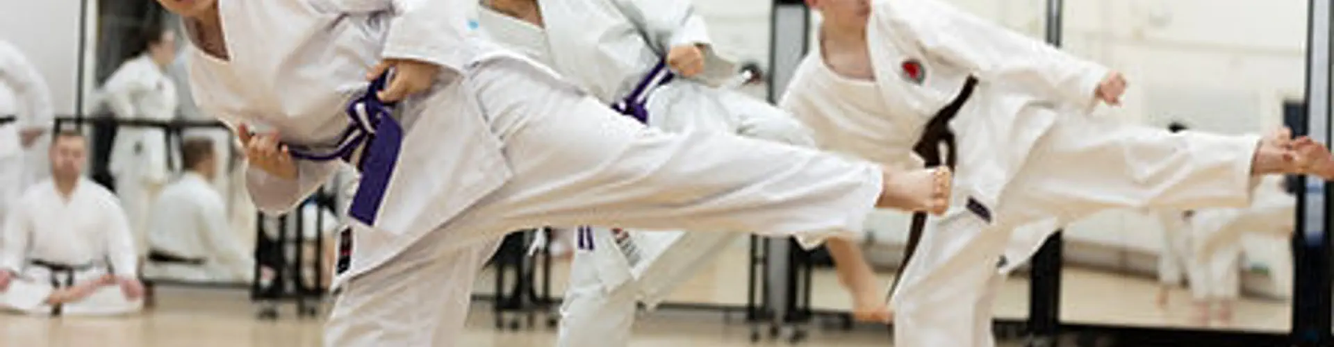 Haden Shotokan Karate Club (at Earls)