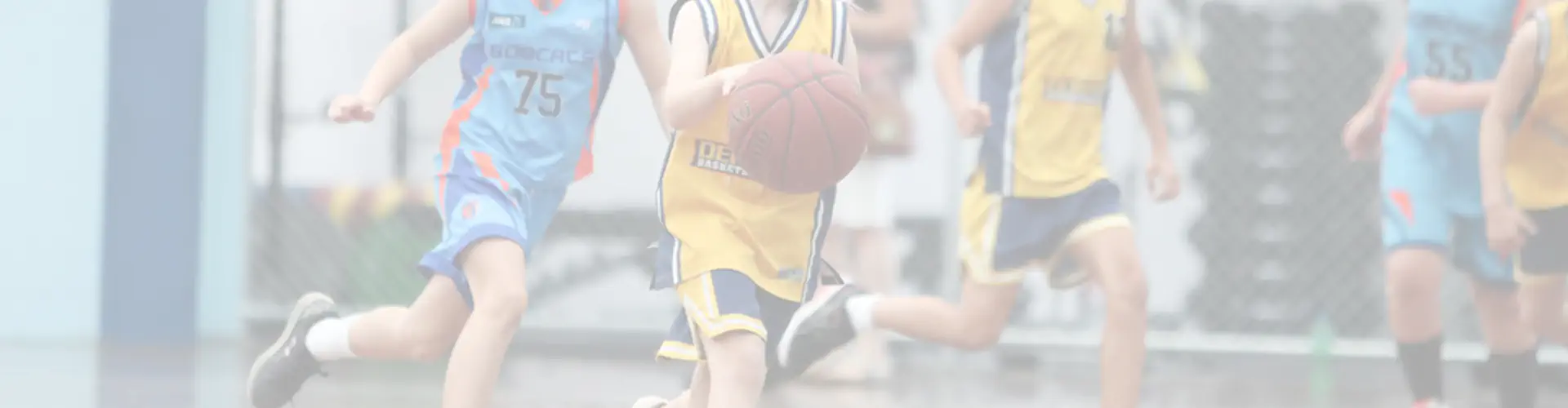 Dreamstreet Lending Arena - Frankston & District Basketball Association