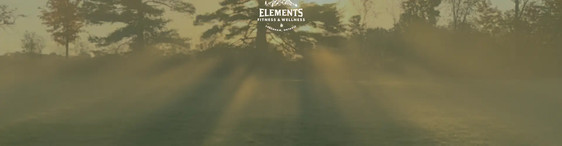 Elements Fitness and Wellness