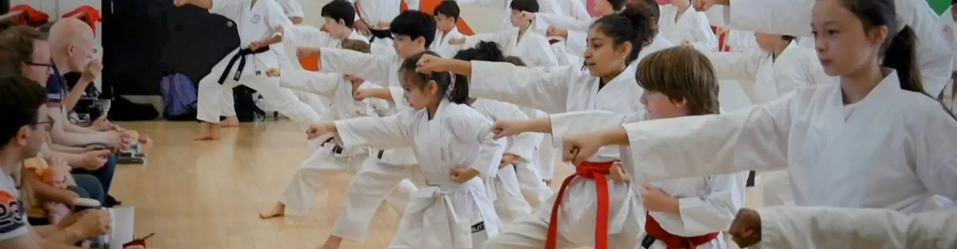 My Karate Club