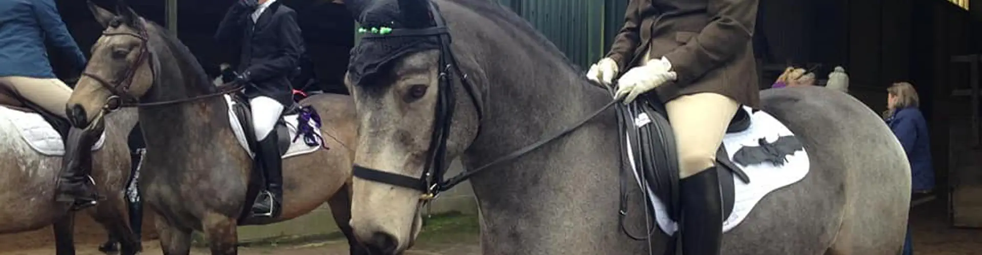Colne Valley Saddle Club