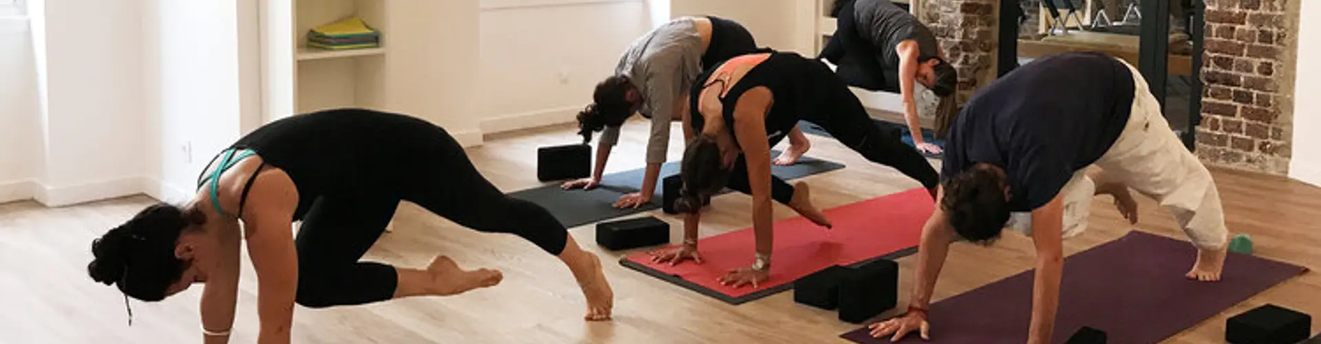 Snake & Twist Pilates And Yoga
