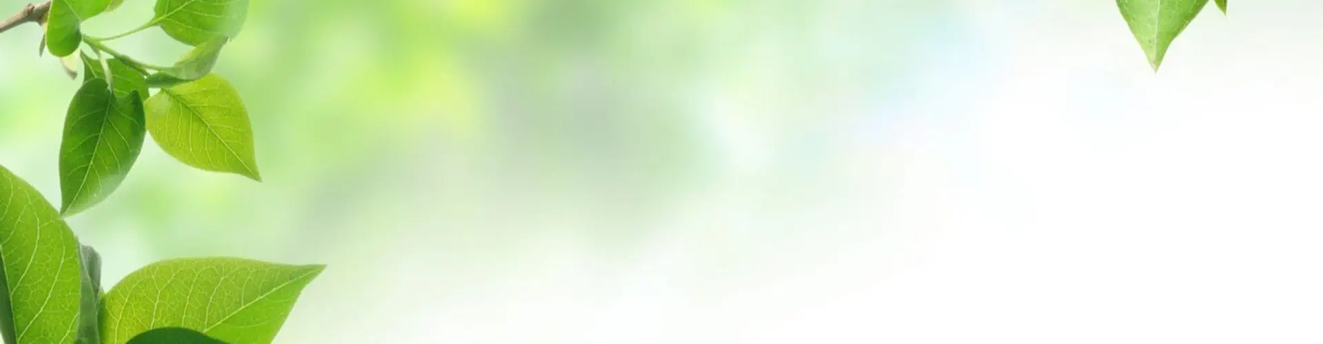 Life Essence Natural Therapies & Counselling Centre