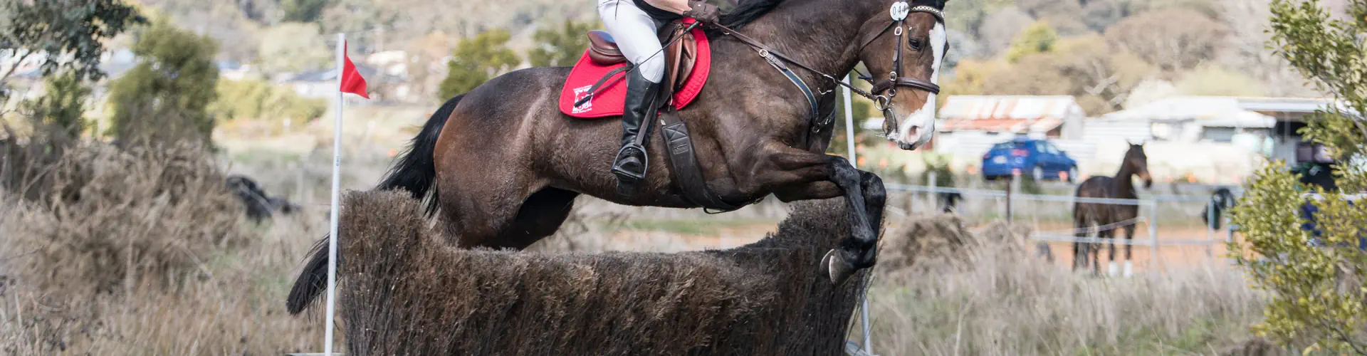 Tandivale Equestrian Centre & Pony Club
