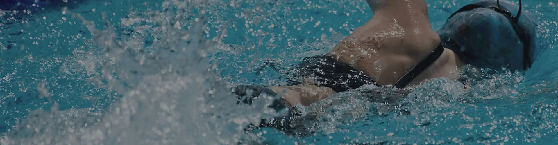 Association Ornon Natation