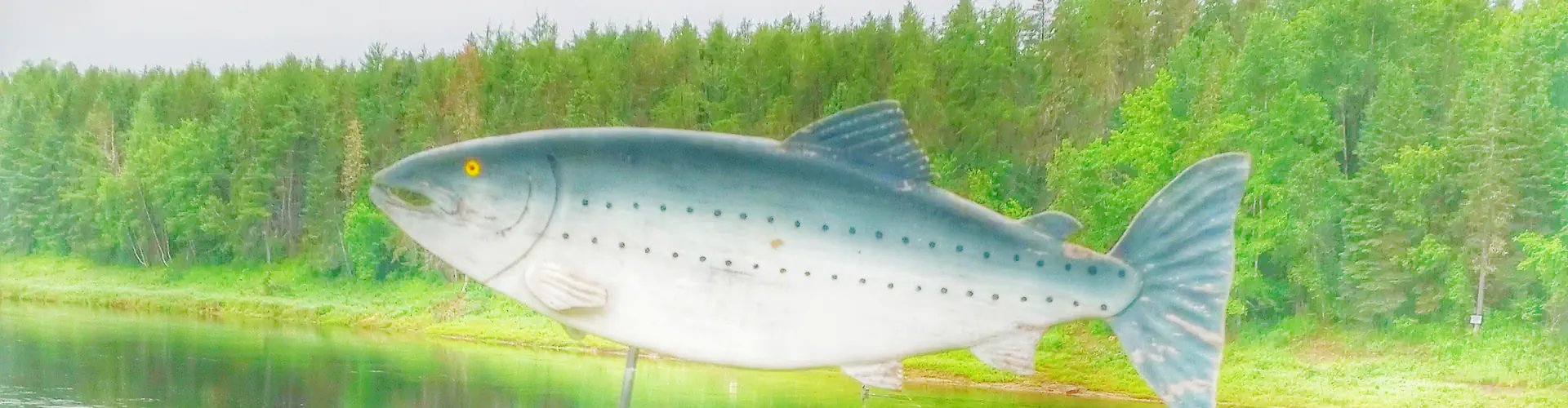 Black Brook Salmon Club
