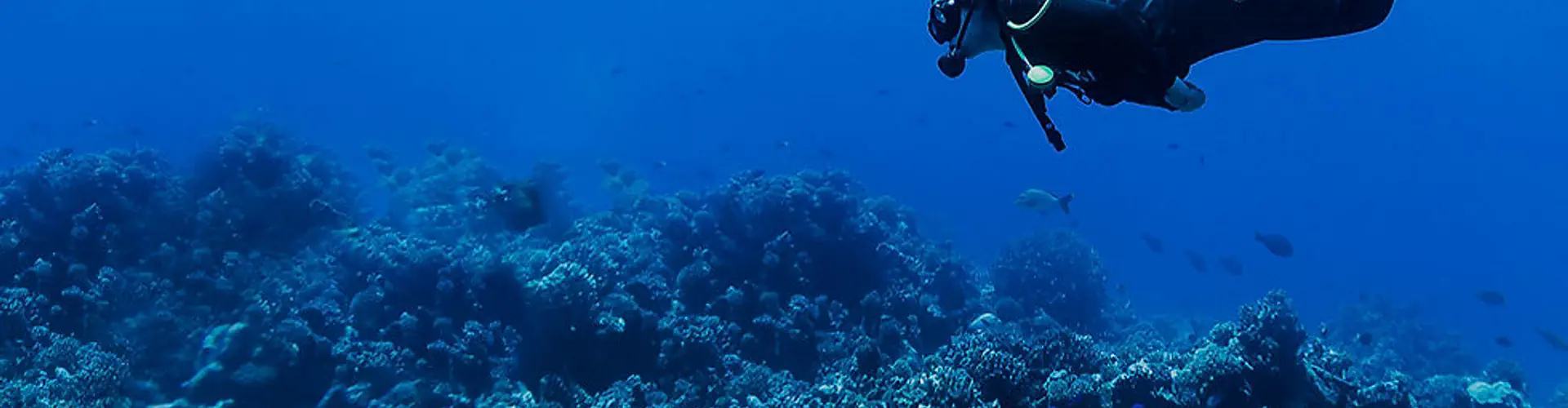 Cardiff Scuba Ltd