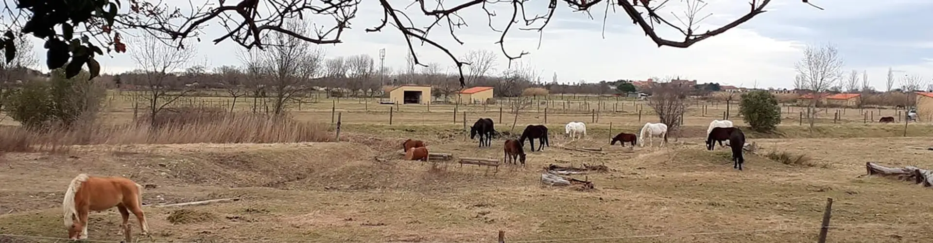 Equestrian Center De Val Marie
