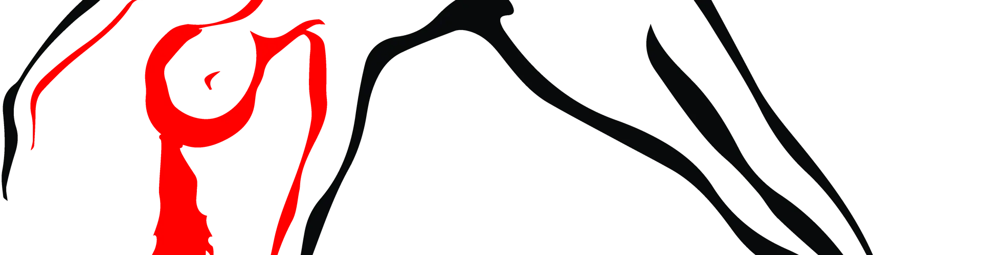 Diaz Pilates Studio
