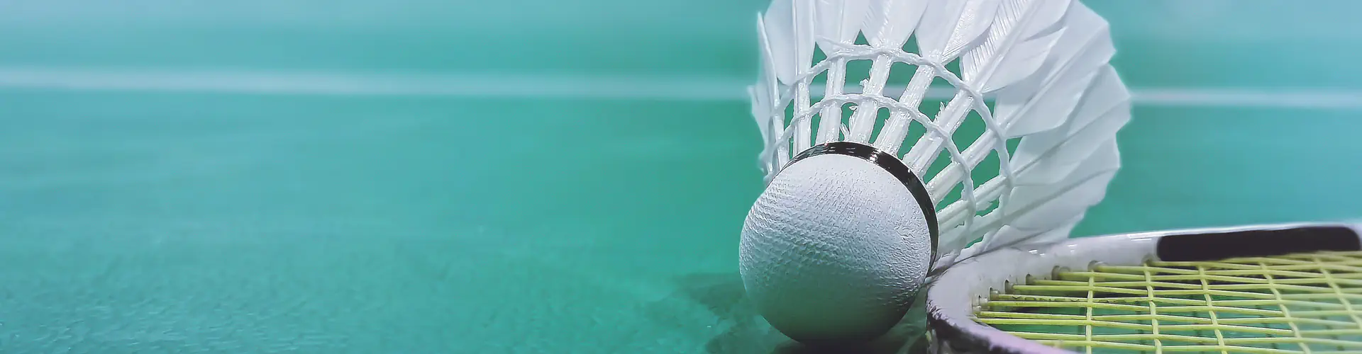 NT Badminton Association