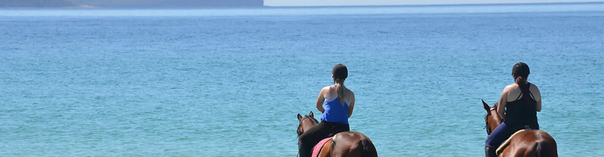 MMs Equine Sanctuary