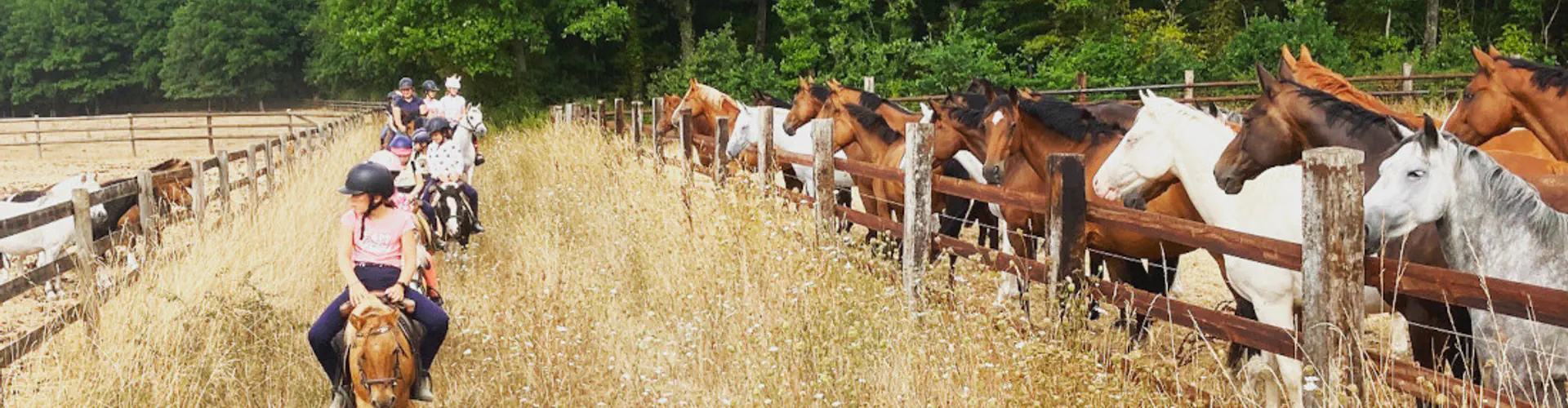 Haras D'oakland Brimbo Equitation