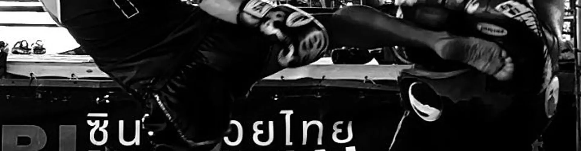 Kingdom Muay Thai and Fitness (Richmond Hill)