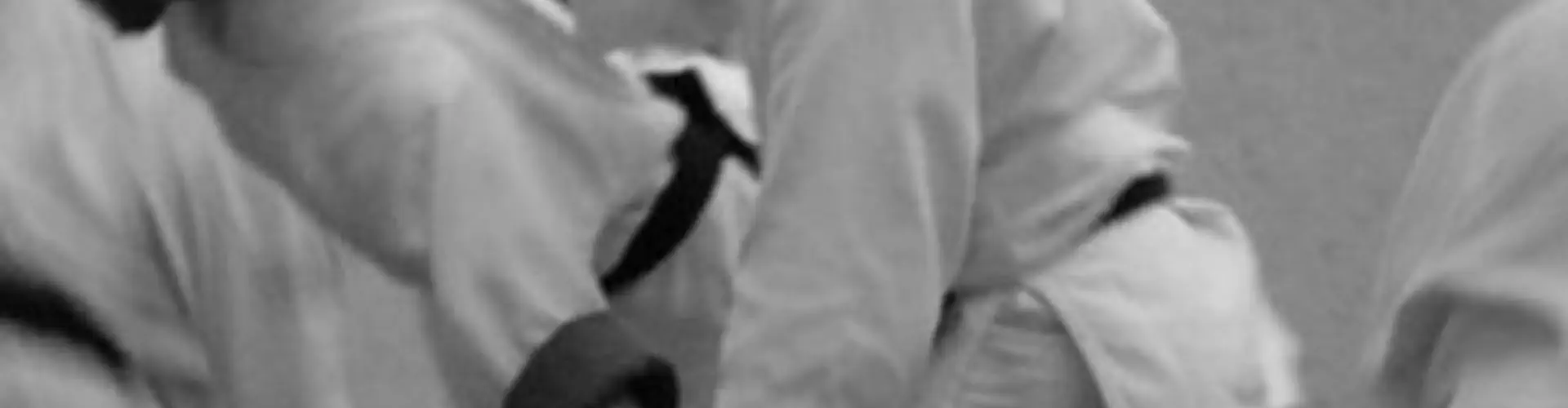 Sussex Sport Aikido Club