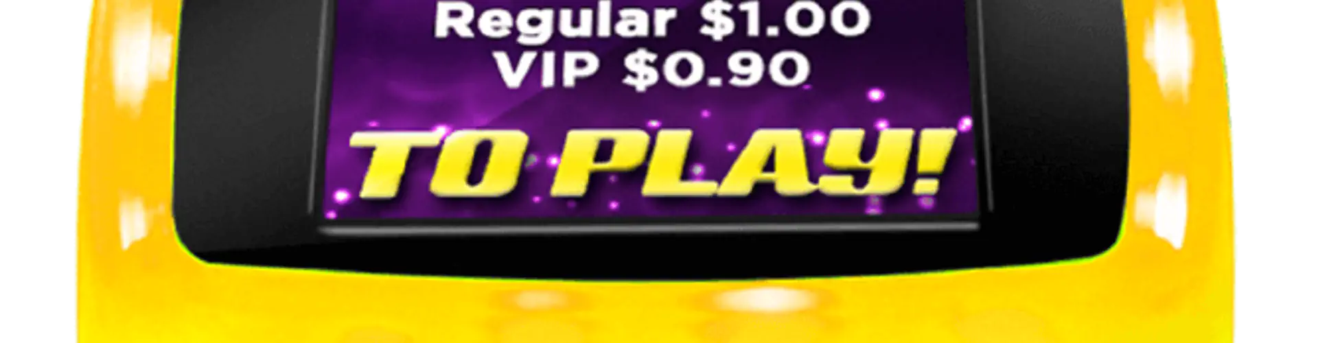 Spin Zone Bumper Cars